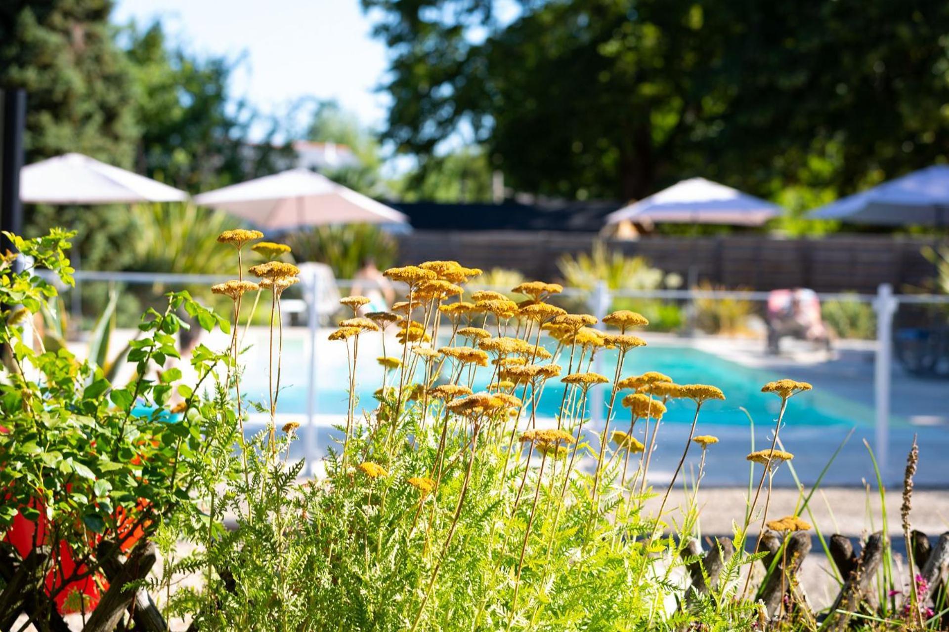Hotel Mileade Le Domaine De La Blairie - Saumur Saint-Martin-de-la-Place Zewnętrze zdjęcie